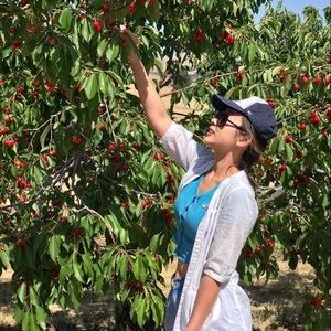 Tommy Hilfiger Blue and Orange Two T-shirts